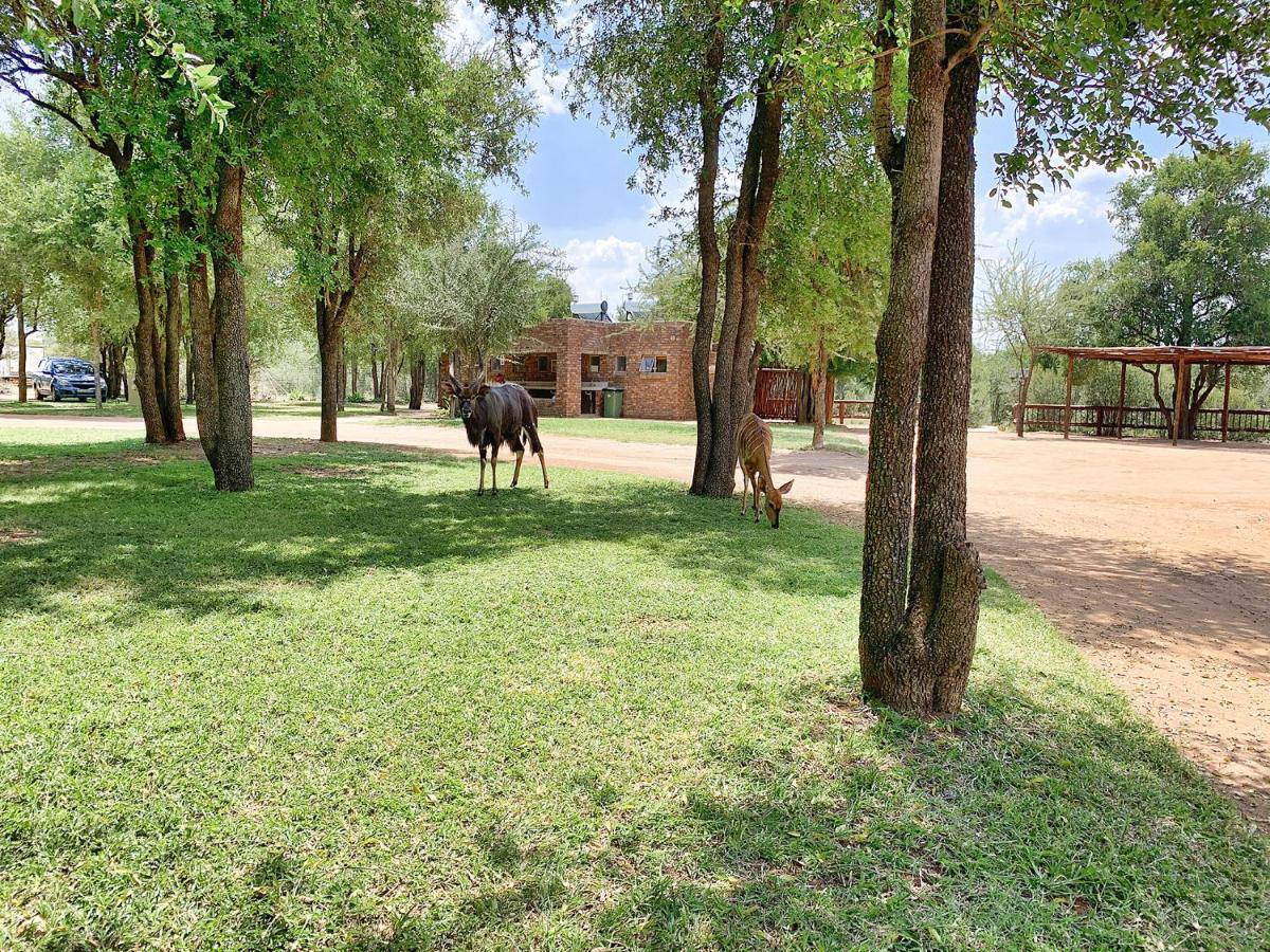 Tshikwalo Game Lodge Klipdrift Exterior photo